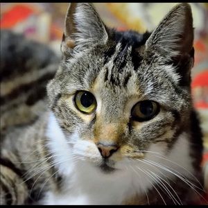 Meet your Posher, Lisa